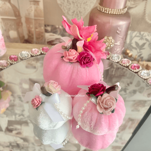Pink Pumpkin Patch Set